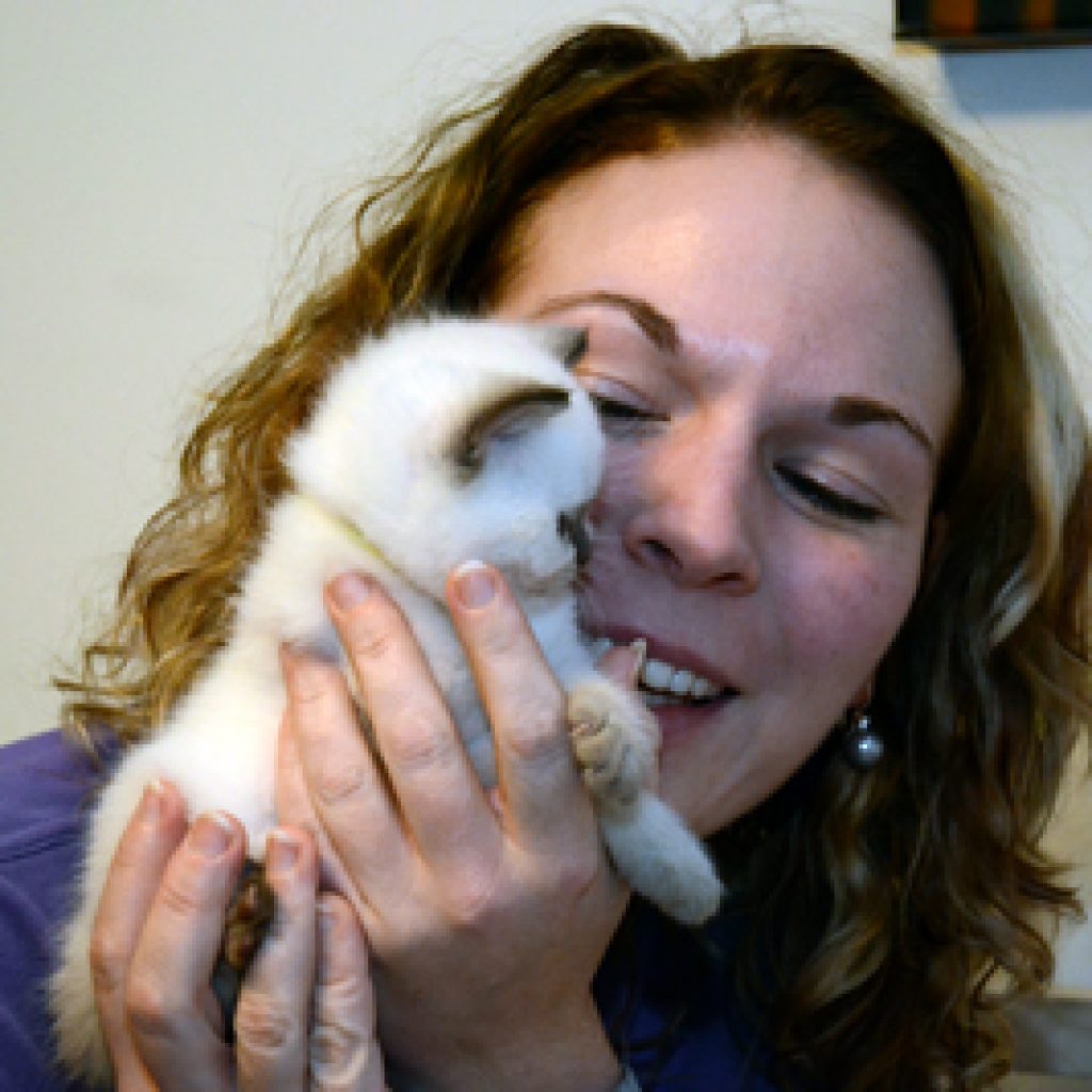 Kittens 6 weken oud: Virusje, maar toch vol energie!